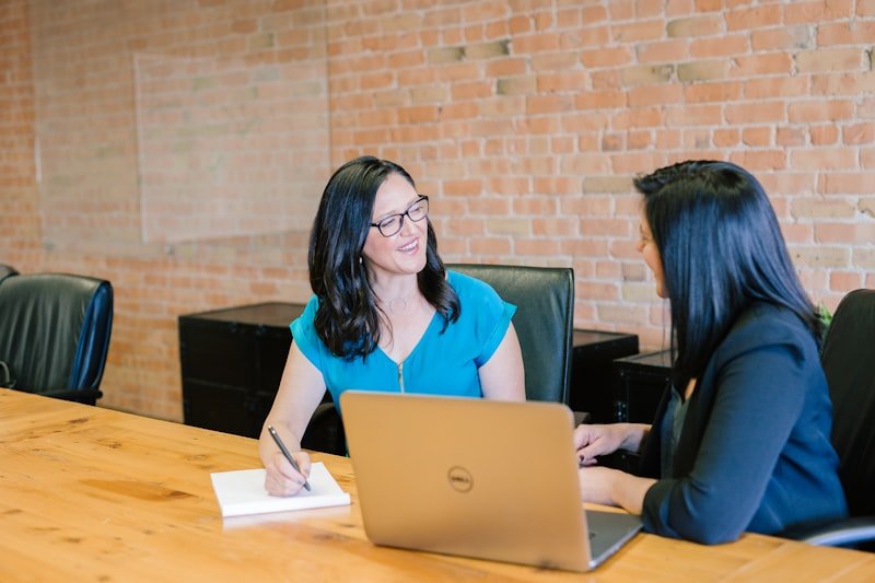 Two consultants in a meeting