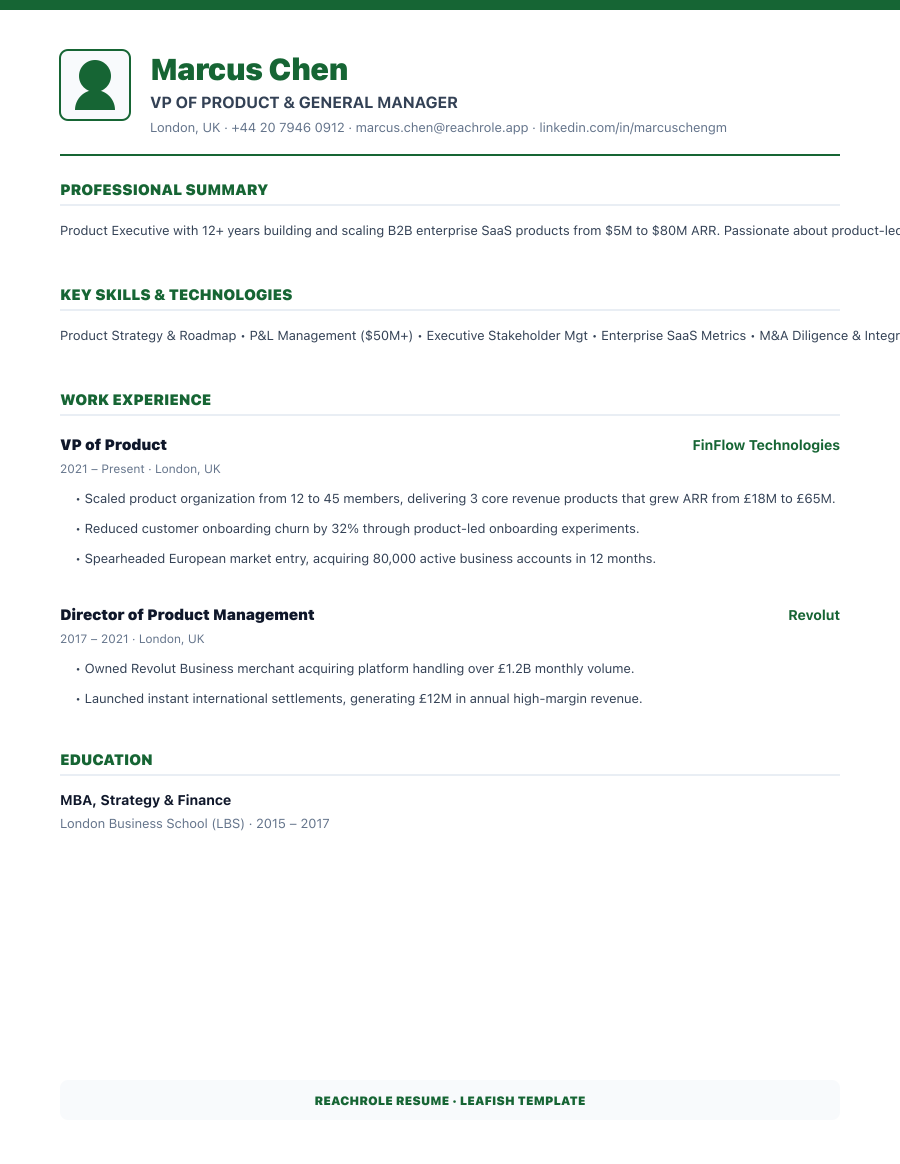 Olive Executive template preview